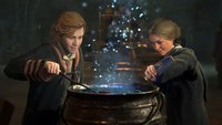 Hogwarts Legacy flüssig auf PC: Das rät die Community