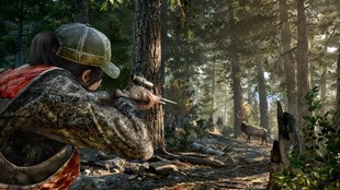 Rabattwunder auf Steam: Ubisoft-Shooter geht 5 Jahre nach Release wieder steil
