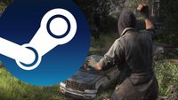 Nach 10 Jahren: Steam-Spieler können endlich PlayStation-Hit nachholen