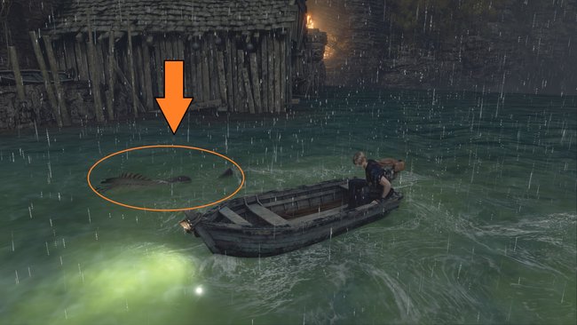 The giant perch can hardly be overlooked in the water (Source: Screenshot GIGA).