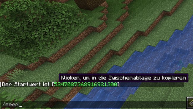 Seed in der Texteingabe von Minecraft