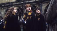 Harry Potter: Neue HBO-Serie spaltet die Community