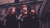 Netflix & Amazon gehen leer aus: Harry-Potter-Reboot kommt zu neuem Streaming-Dienst