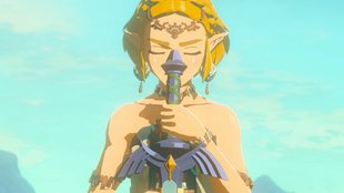 Zelda: Tears of the Kingdom – Switch-Hit ist seit Release verbuggt