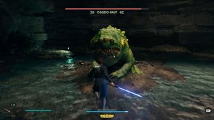 Star Wars Jedi Survivor: Oggdo-Brut finden & Poncho bekommen