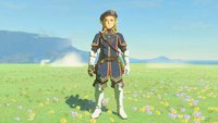 Zelda: Tears of the Kingdom – Leibwache-Set finden