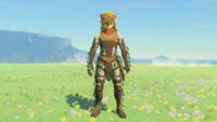 Zelda: Tears of the Kingdom – Aero-Set finden