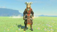 Zelda: Tears of the Kingdom – Flammen-Set finden