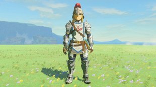 Zelda: Tears of the Kingdom – Soldaten-Set finden