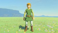 Zelda: Tears of the Kingdom – Wind-Set finden