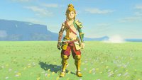 Zelda: Tears of the Kingdom – Wüsten-Set finden