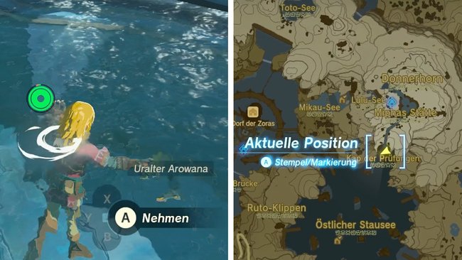 Im Brunnen beim Kap der Prüfungen findet ihr den gesuchten Uralten Arowana. (Bildquelle: Screenshot GIGA)