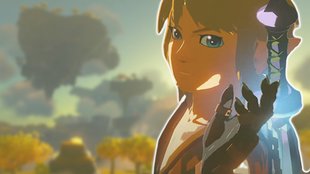 Zelda-Fans fordern: Nintendo soll endlich Links größtes Geheimnis lüften