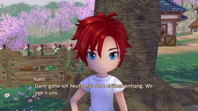 Nami macht sich in Story of Seasons: A Wonderful Life aus dem Staub