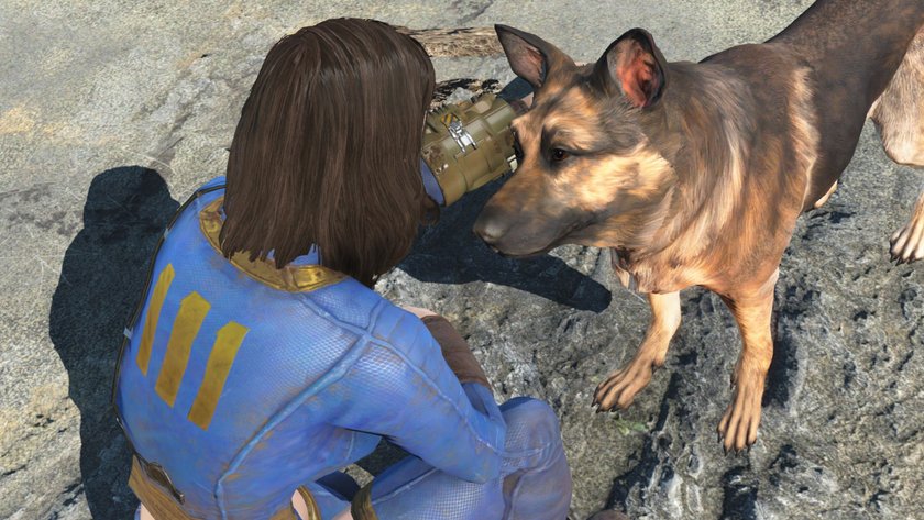 Dogmeat aus Fallout 4