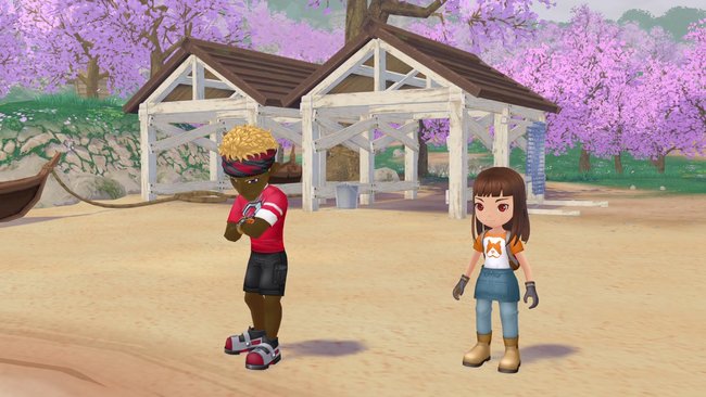 Gordy und euer Charakter am Strand von Story of Seasons: A Wonderful Life