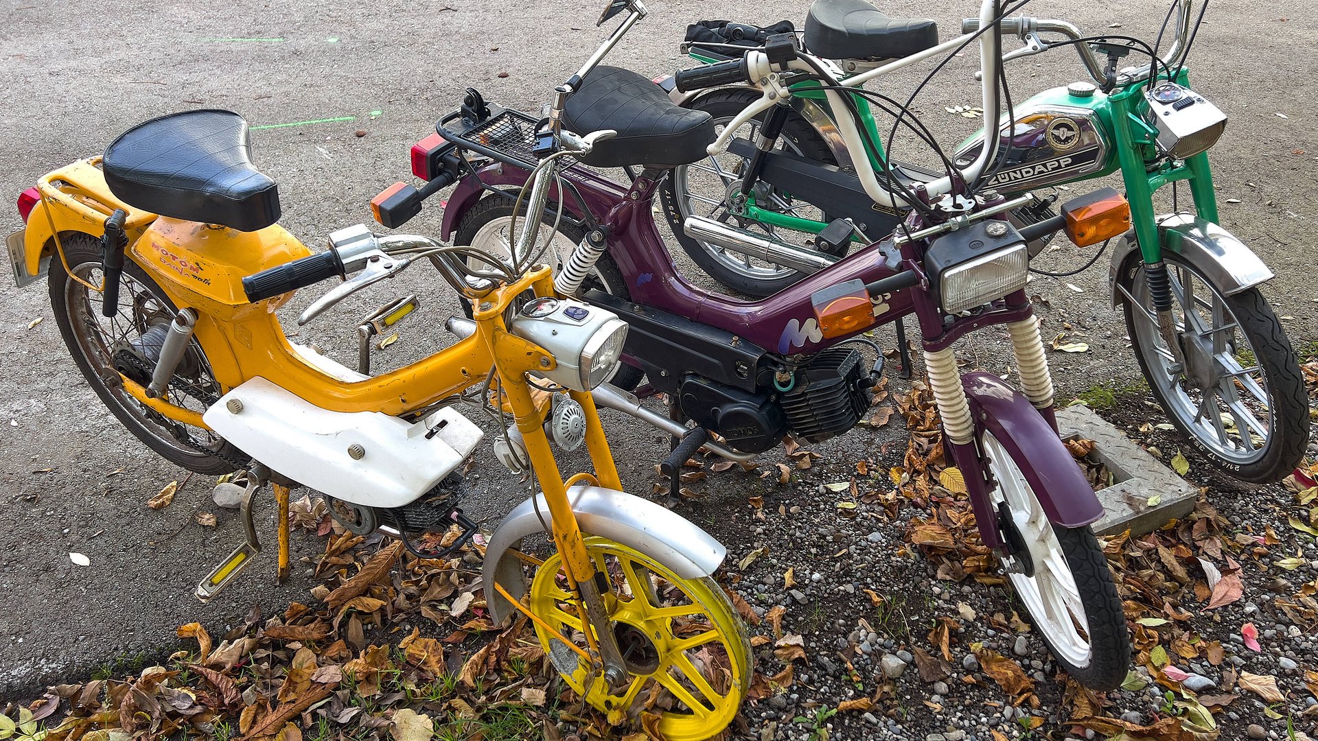 Ab Welchem Geburtsjahr Darf Man Mofa Ohne Führerschein Fahren