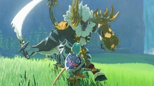 Zelda: Tears of the Kingdom – Alle Leunen finden und besiegen