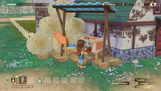 Bestellbuch in Story of Seasons: A Wonderful Life