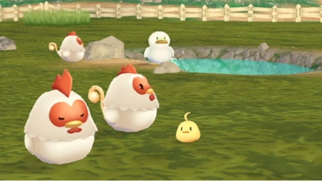 Hühner und Enten in Story of Seasons: A Wonderful Life