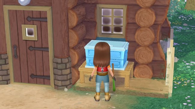 Postbox in Story of Seasons: A Wonderful Life