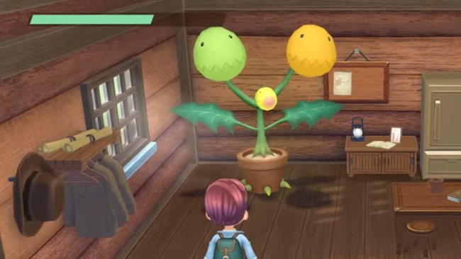 Vinnie in Takakuras Haus in Story of Seasons: A Wonderful Life