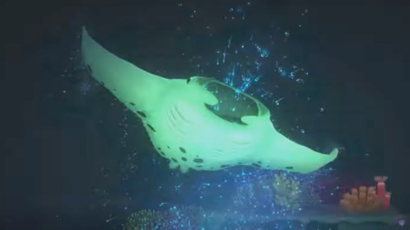 Wir zeigen euch, wie ihr den Mantarochen in Dave The Diver fotografieren könnt (Bildquelle: Screenshot GIGA).