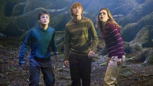 Harry Potter: Star erteilt neuer Serie eine Absage