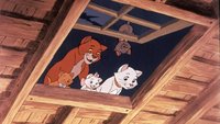 Aristocats Namen: Wie heißen die Disney-Katzen?