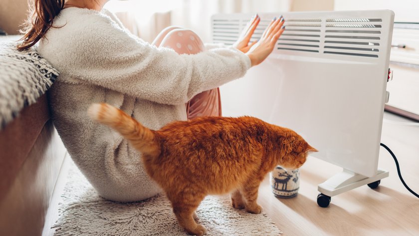 Frau und Katze vor Heizlüfter.