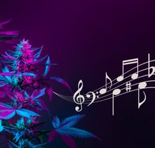 22 Songs über Cannabis & Hymnen der Legalisierung von Marihuana