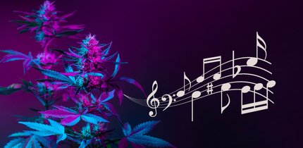 22 Songs über Cannabis & Hymnen der Legalisierung von Marihuana