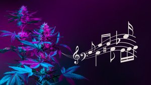 22 Songs über Cannabis & Hymnen der Legalisierung von Marihuana