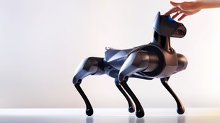 Xiaomi enthüllt Roboter-Hund: Er lernt von selbst