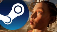 Steam-Überraschungshit des Jahres: Entwickler löscht eigenes Spiel