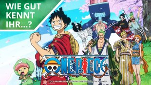 One Piece Kenner-Quiz: Wie gut kennt ihr die Strohhüte wirklich?