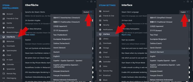 Steam Sprache umstellen Einstellungen