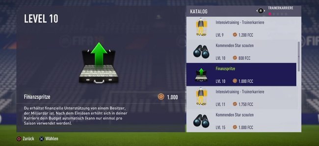 Geldsegen für Clubbesitzer: Ab Level 10 könnt ihr die Finanzspritze im EA FSC-Katalog kaufen.