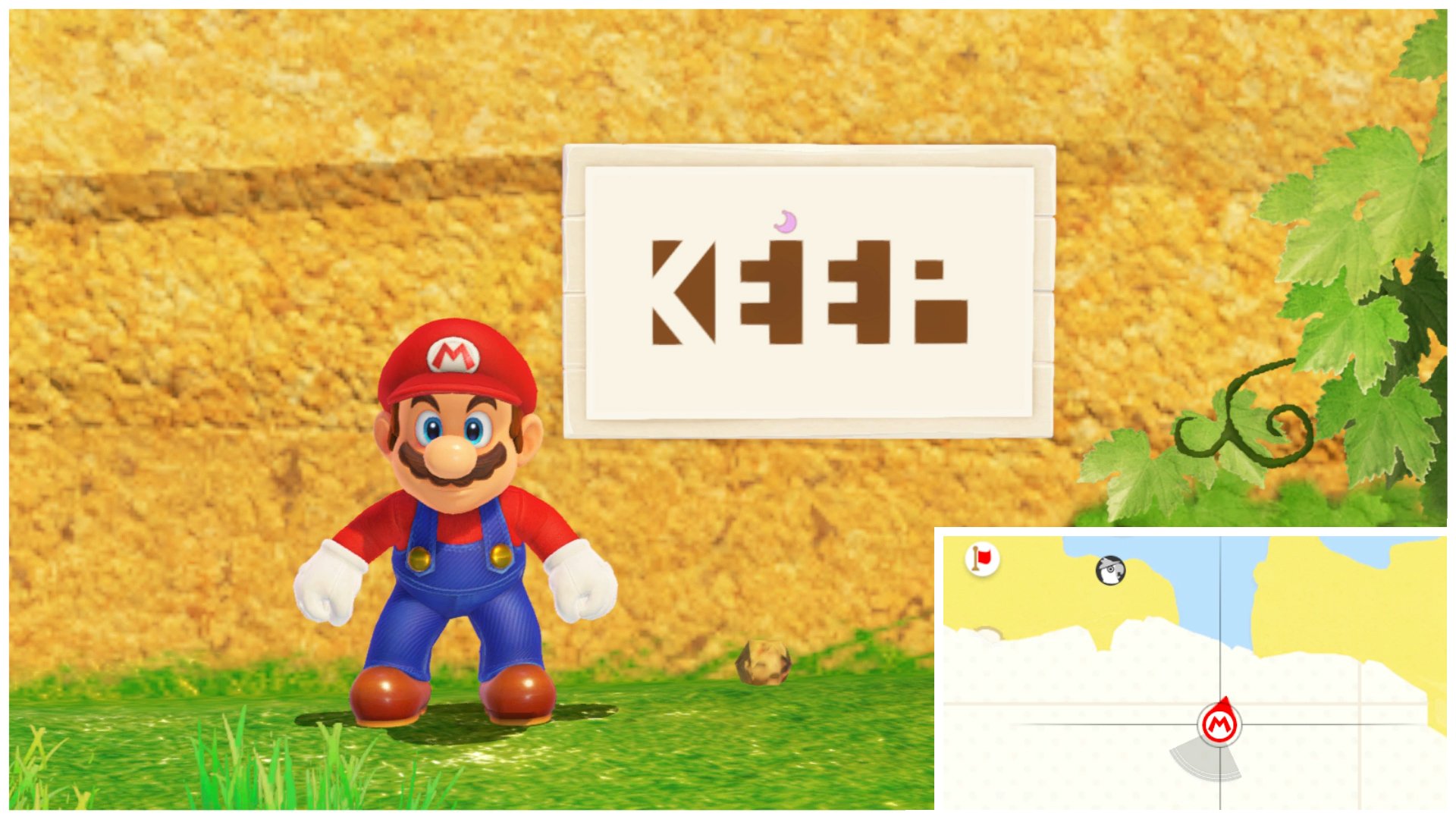 Super Mario Odyssey: Hinweis-Kunst & Bilderrätsel lösen