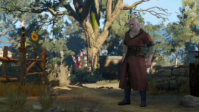 Geralt ist gar nicht wiederzuerkennen.