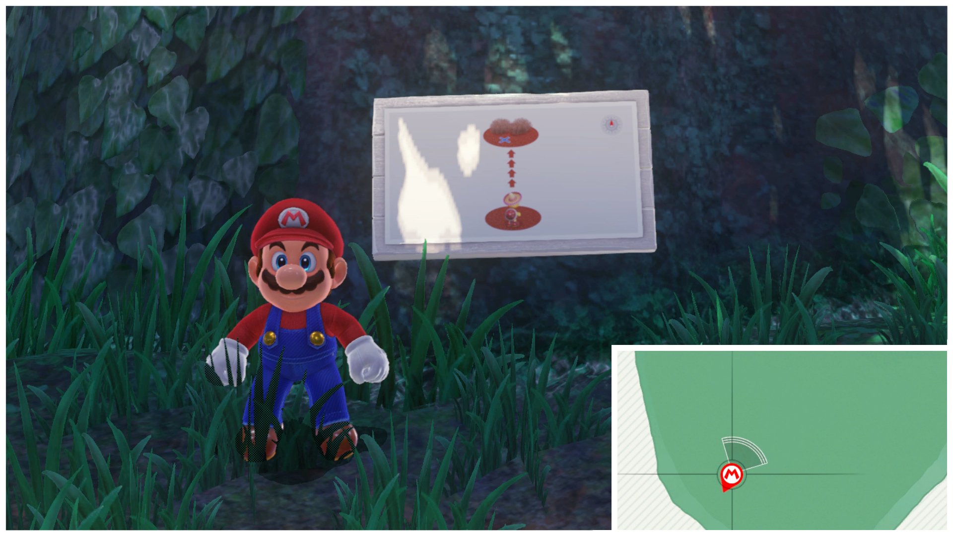 Super Mario Odyssey: Hinweis-Kunst & Bilderrätsel lösen