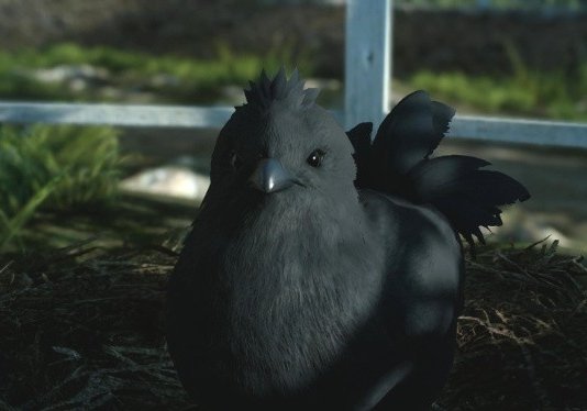 Dieses schwarze Chocobo-Küken schlüpft aus dem Ei, nachdem ihr es zu Wiz gebracht habt.