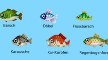 Animal Crossing Pocket Camp: Fische und Insekten – Fangraten, Fundorte und mehr