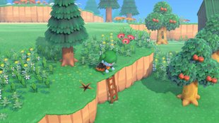 Animal Crossing: New Horizons | Leiter, Sprungstab und Schaufel bekommen