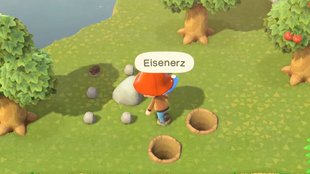 Animal Crossing: New Horizons | Eisenerz finden und farmen