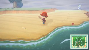 Gulliver bzw. Gullivarrr wecken und helfen | Animal Crossing: New Horizons