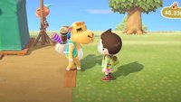 Aziza: Coupons, Angebot und Trivia | Animal Crossing: New Horizons