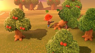 Bäume fällen und pflanzen | Animal Crossing: New Horizons