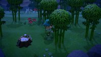 Bambus und Kokosnüsse bekommen | Animal Crossing: New Horizons