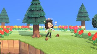 Animal Crossing: New Horizons - Zapfen & Eicheln sammeln inkl. aller Bastelanleitungen